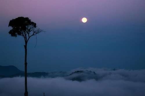 e-stay Hanthana Kandy image 19